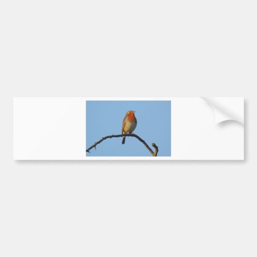 Robin Bumpersticker (Voorkant)
