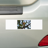 Robin Bumpersticker (Op auto)
