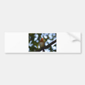 Robin Bumpersticker (Voorkant)
