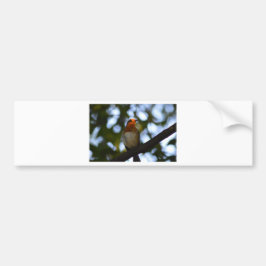 Robin Bumpersticker