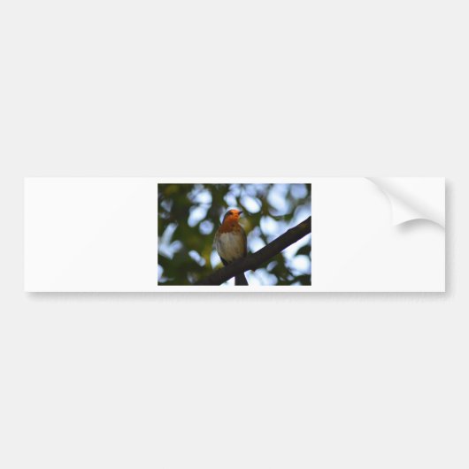 Robin Bumpersticker (Voorkant)