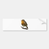 Robin Bumpersticker (Voorkant)