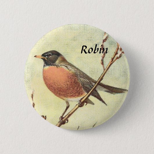  Robin Button (Voorkant)