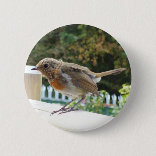 Robin Button Badge (Voorkant)