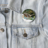 Robin Button Badge (In situ)