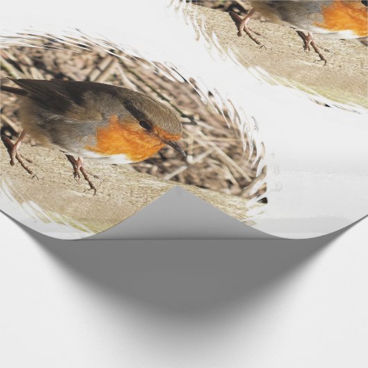 ROBIN CADEAUPAPIER (Hoek)