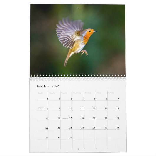 Robin Calendar 2016 Kalender (Mar 2026)