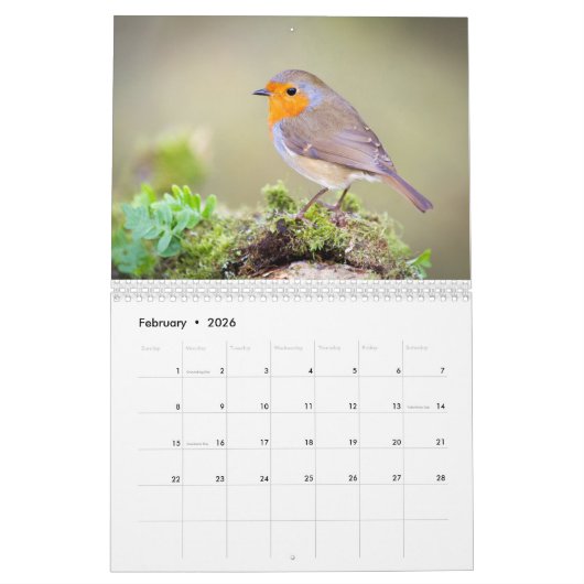 Robin Calendar 2016 Kalender (Feb 2026)