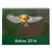 Robin Calendar 2016 Kalender (Hoes)