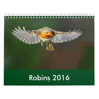 Robin Calendar 2016 Kalender