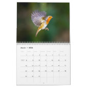 Robin Calendar 2017 Kalender (Mar 2026)
