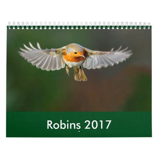 Robin Calendar 2017 Kalender (Hoes)