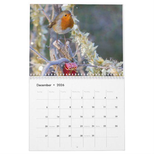 Robin Calendar 2017 Kalender (Dec 2026)