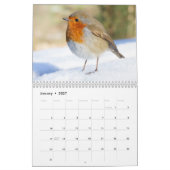 Robin Calendar 2017 Kalender (Jan 2027)