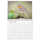 Robin Calendar 2017 Kalender (Feb 2027)