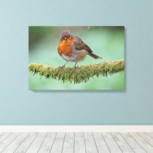 Robin Canvas Afdruk (Insitu (Houten vloer))