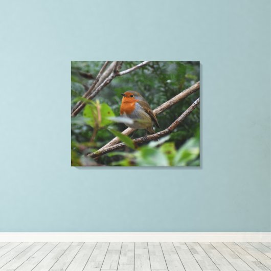 Robin Canvas Afdruk (Insitu (Houten vloer))