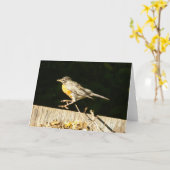Robin Card Kaart (Gele Bloem)