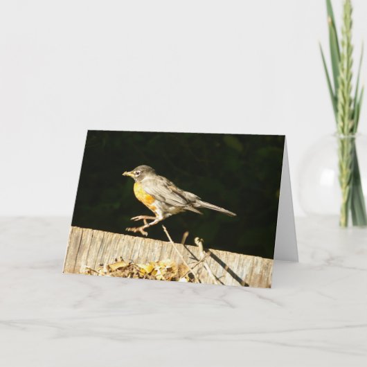 Robin Card Kaart (Voorkant)