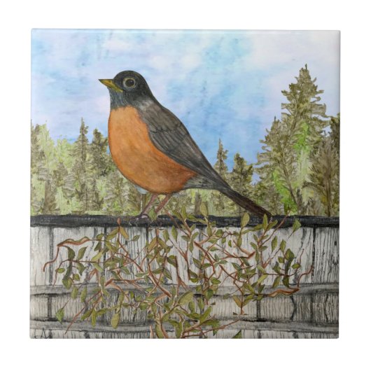 Robin Ceramic Kitchen Tile Tegeltje (Voorkant)