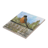 Robin Ceramic Kitchen Tile Tegeltje (Zijkant)