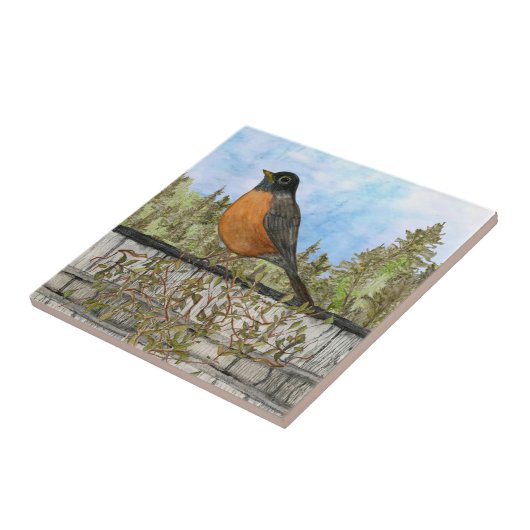 Robin Ceramic Kitchen Tile Tegeltje (Zijkant)