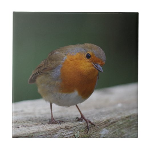 Robin Ceramic Tile Tegeltje (Voorkant)