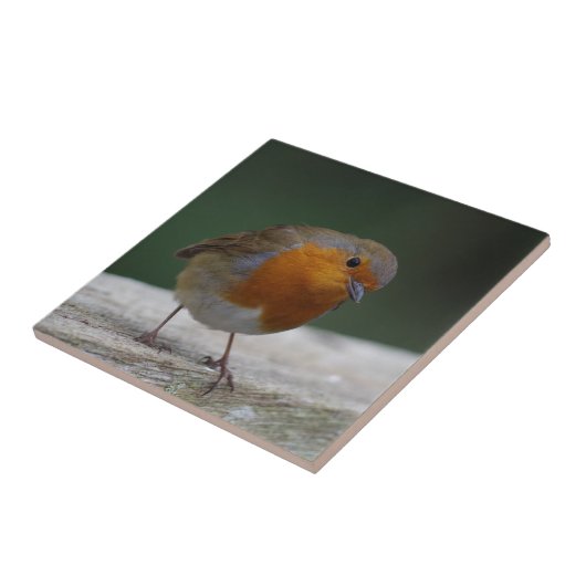 Robin Ceramic Tile Tegeltje (Zijkant)