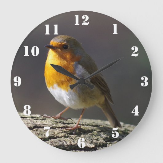 Robin Clock Grote Klok (Voorkant)