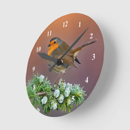 Robin Clock Ronde Klok (Hoek)