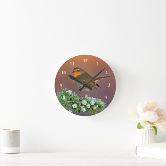 Robin Clock Ronde Klok (Huis)