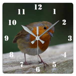 Robin Clock Vierkante Klok