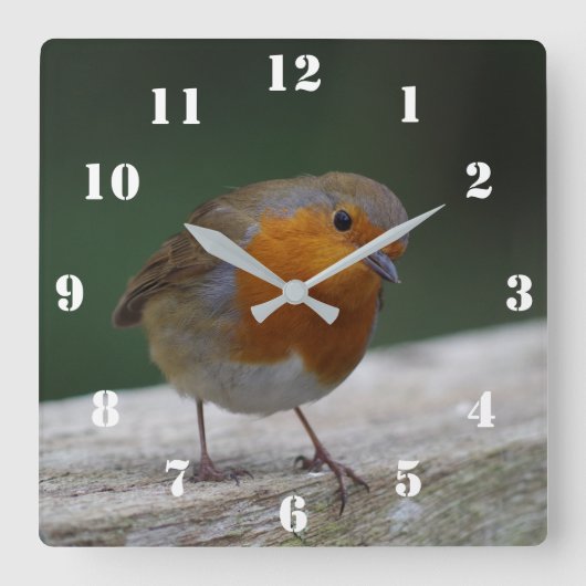 Robin Clock Vierkante Klok (Voorkant)