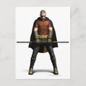 Robin Color Briefkaart (Voorkant)