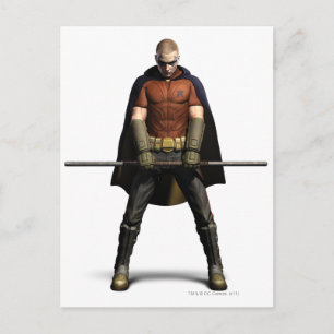 Robin Color Briefkaart