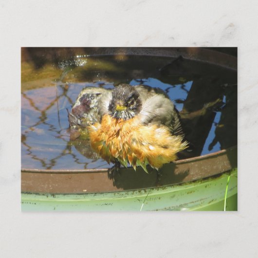 Robin die Bath Briefkaart (Voorkant)