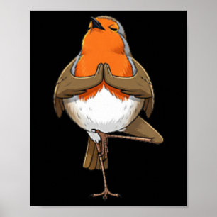 Robin doet yoga oefening meditatie grappige vogel poster