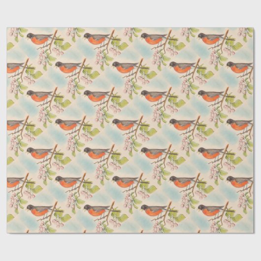  Robin Drawing Cadeaupapier (Vlak)