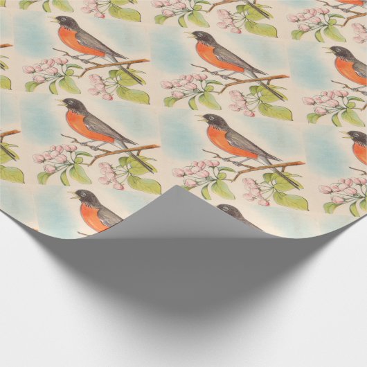  Robin Drawing Cadeaupapier (Hoek)