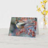 Robin eet bes kaart (Gele Bloem)