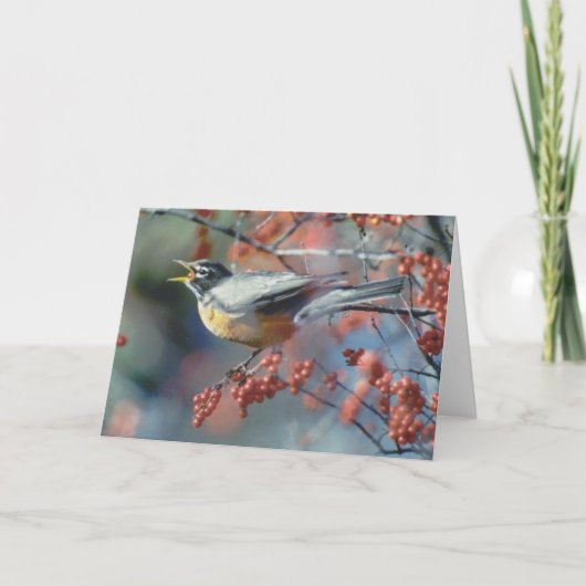 Robin eet bes kaart (Voorkant)