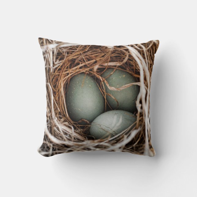 Robin Egg Blue Bird Nest Spring Moeder Pillow Kussen (Voorkant)