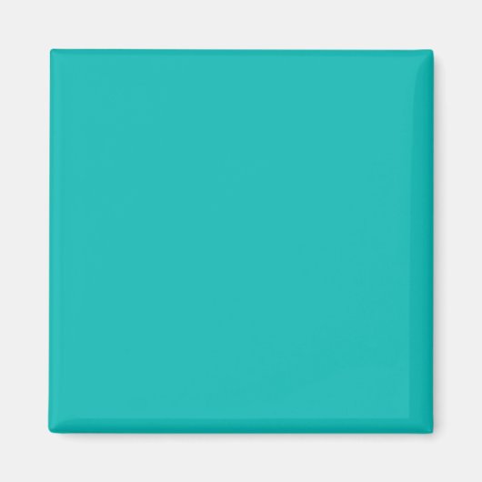 Robin Egg Blue Cute Matching Color Magneet (Voorkant)