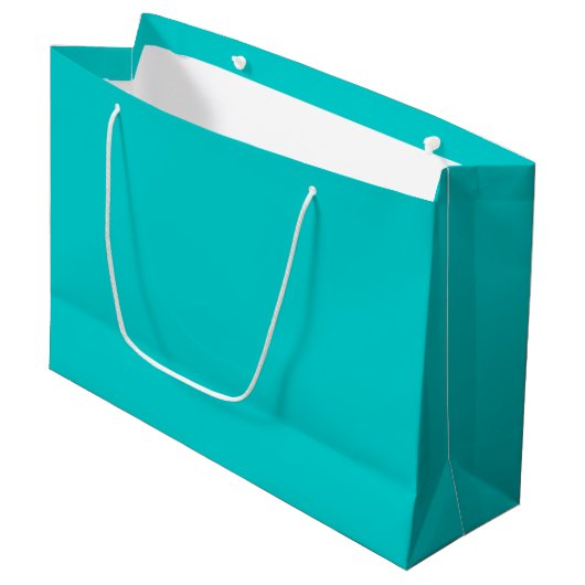 Robin Egg Blue Effen Kleur | Klassiek | Elegant Groot Cadeauzakje (Voorkant Gekanteld)