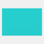 Robin Egg Blue Effen Kleur | Klassiek | Elegant Inpakpapier Vel (Voorkant 3)