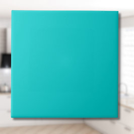 Robin Egg Blue Effen Kleur | Klassiek | Elegant Tegeltje