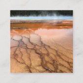 Robin Egg Blue en White Photography Vierkante Visitekaartje (Voorkant)