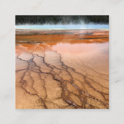 Robin Egg Blue en White Photography Vierkante Visitekaartje (Voorkant)