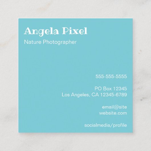 Robin Egg Blue en White Photography Vierkante Visitekaartje (Achterkant)