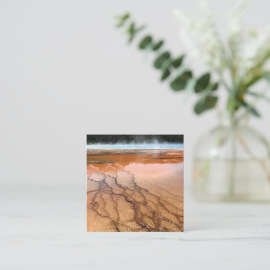 Robin Egg Blue en White Photography Vierkante Visitekaartje (Staand voorkant)